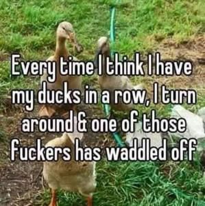 Meet your Posher, Justine